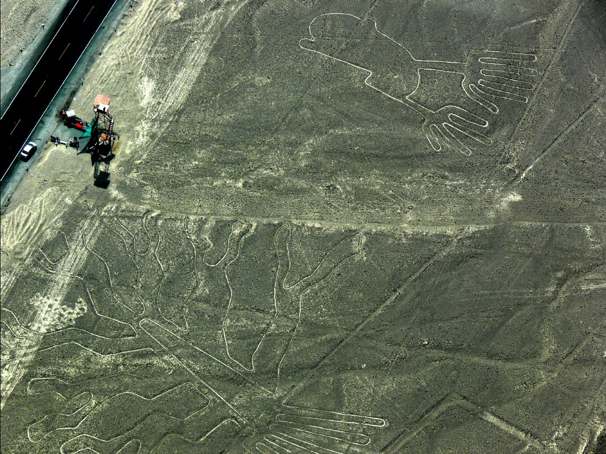 Nasca Lines35 - Hands and Tree